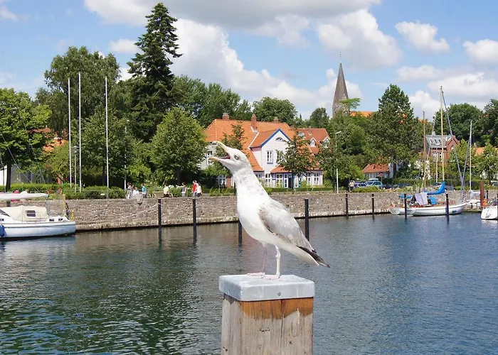 Campingplatz Ostsee Mobilheime Heideby Waabs